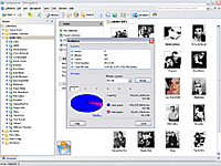 Viewing Statistics